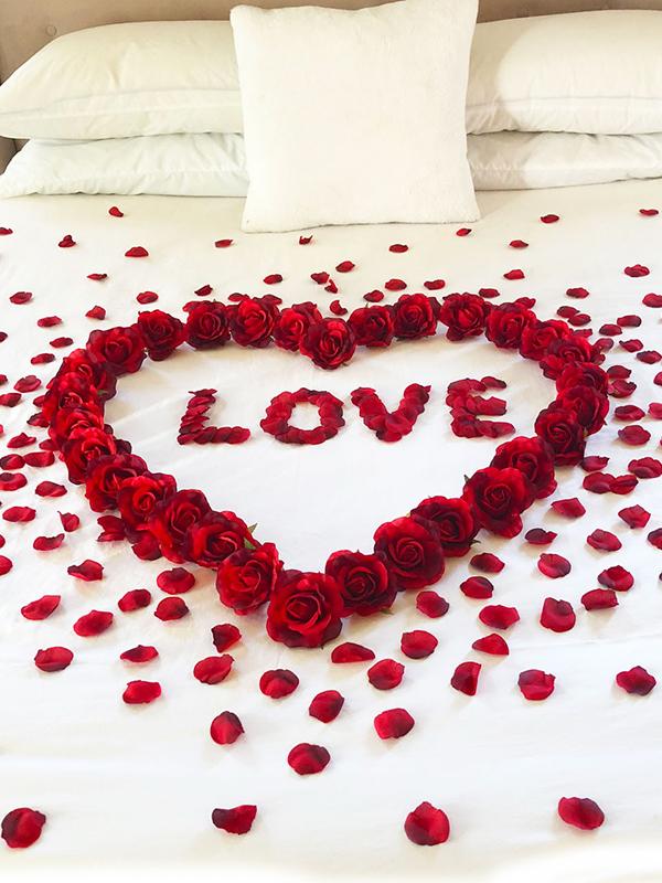 Petali di Rosa Nylon Rosso